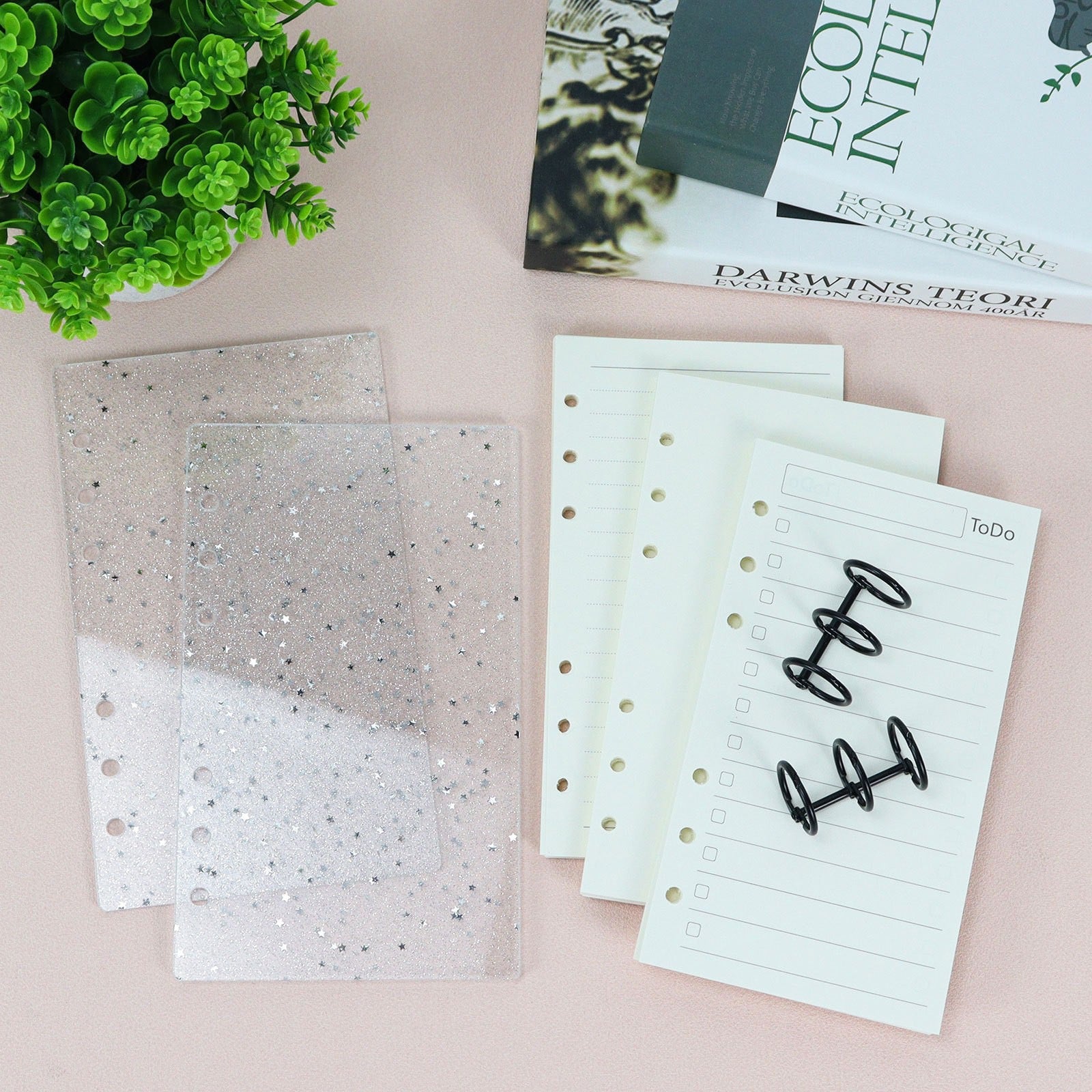 A6 Acrylic Cover Loose-Leaf Notebook, Rose & Bow Print Binder Journal with Replaceable Pages
